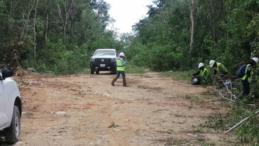 Amplían desmonte en Playa del Carmen por Tren Maya