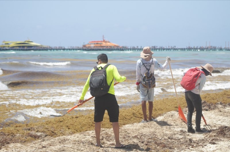 Fortalecerán zona turística de Solidaridad con módulos de atención en Semana Santa