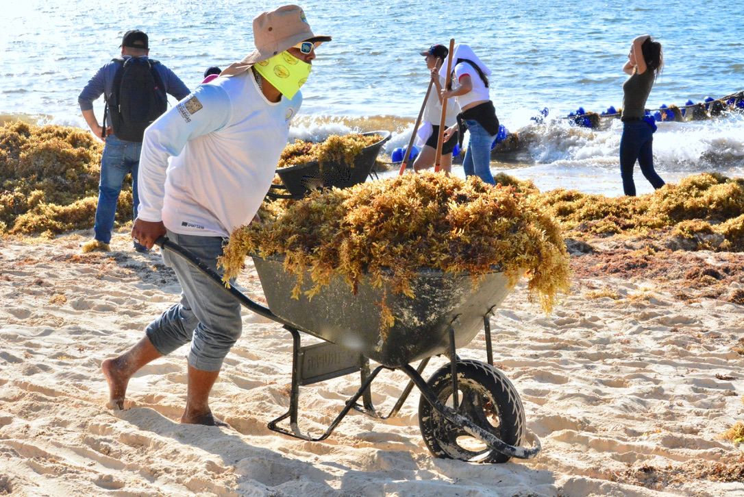 Playa del Carmen sigue siendo destino preferido por turistas