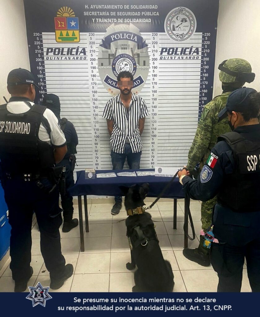 Perro policía detecta a sujeto con dosis de LSD en la Quinta Avenida