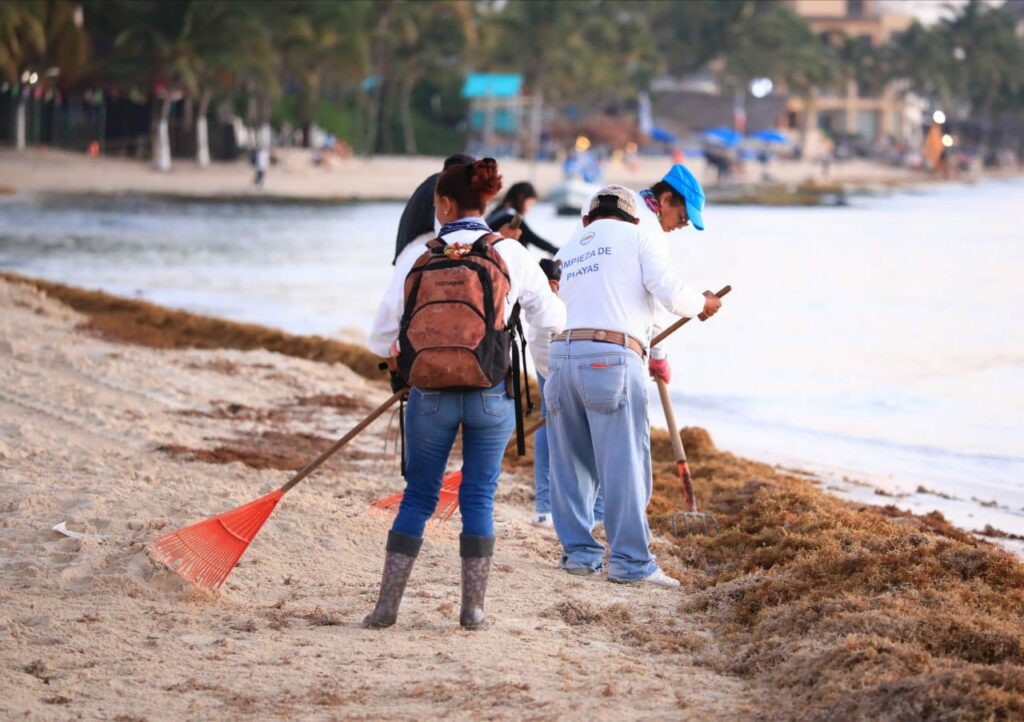 Limpieza de playas, prioridad de gobierno de Solidaridad