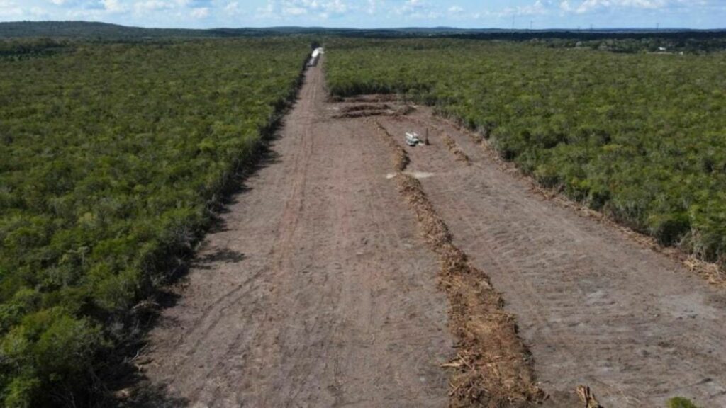 Autoridades de Solidaridad estudiarán posibles riesgos por explosiones por obras del Tren Maya