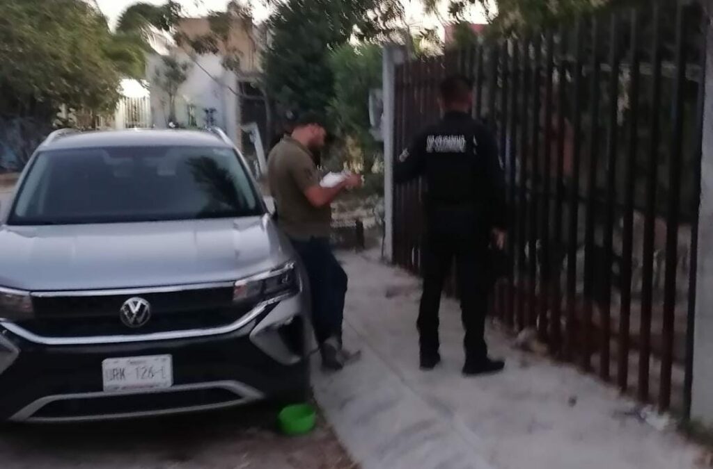 Nuevo caso de maltrato animal en Playa del Carmen; sujeto arroja agua fría como castigo a sus perros