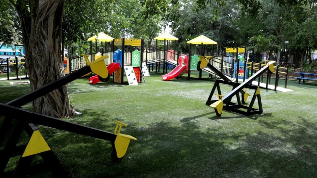 Renueva gobierno de Solidaridad Parque Inclusivo, en Palmas I