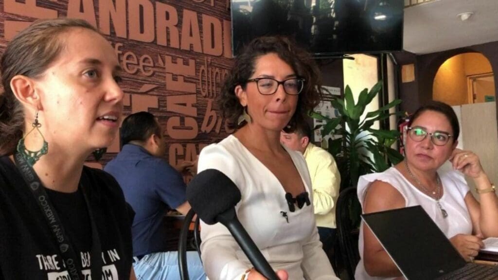 Proponen activistas que delfinarios se vuelvan corrales en el mar y así no tengan que cerrar