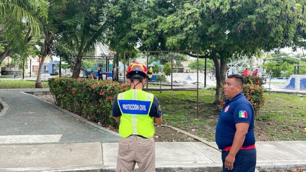 Descuido provoca incendio en palapa de un parque