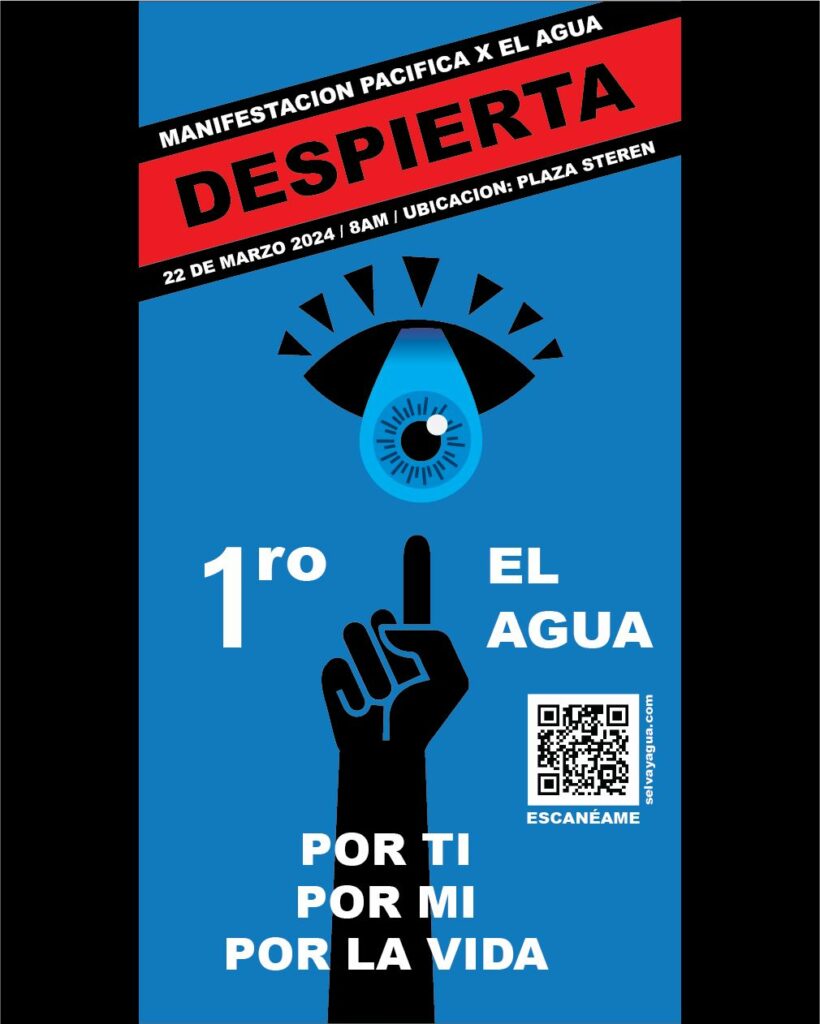 Ambientalistas se manifestarán para exigir se cumpla la ley en el Tramo 5 Sur del Tren Maya